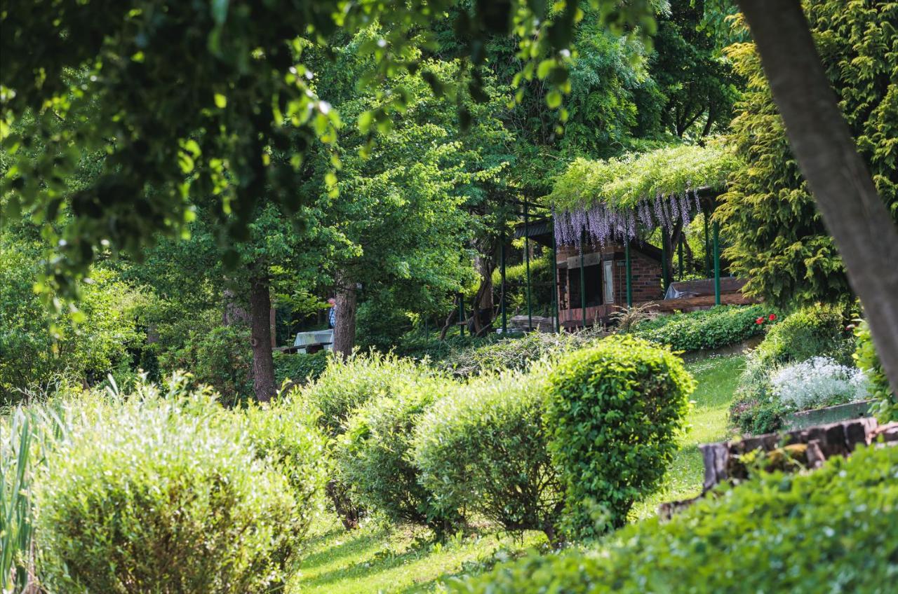 Rajski Vrt - Lake House - Paradise Garden 锡萨克 外观 照片